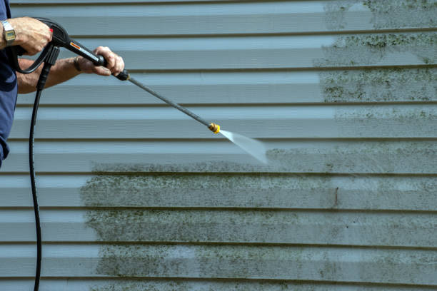 Best Solar Panel Cleaning  in Donna, TX