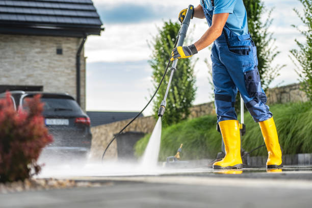 Best Dumpster Area Cleaning  in Donna, TX